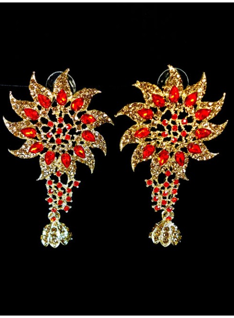 Fashion Earrings